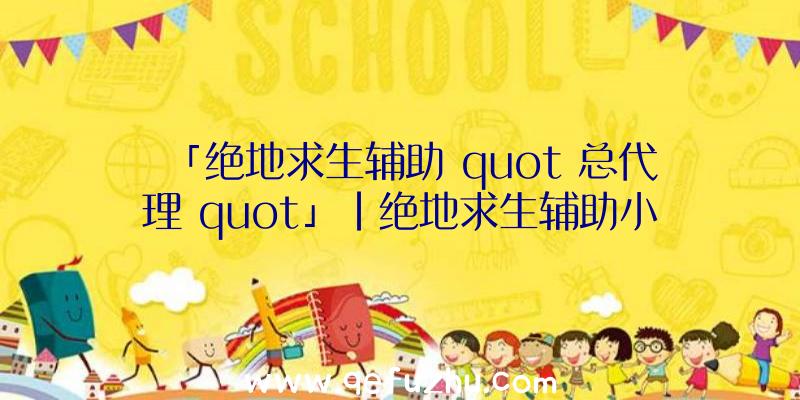 「绝地求生辅助